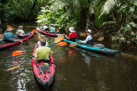 Embark on a Magical Kayak Tour of Manchac: Discover the Unknown